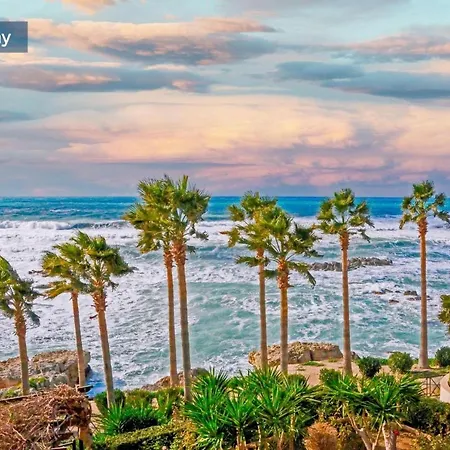 Coral Palms *